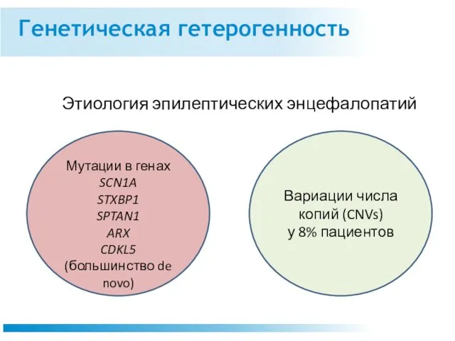 Генетическая гетерогенность Мутации в генах SCN1A STXBP1 SPTAN1 ARX CDKL5 (большинство