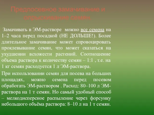 Предпосевное замачивание и опрыскивание семян. Замачивать в ЭМ-растворе можно все семена