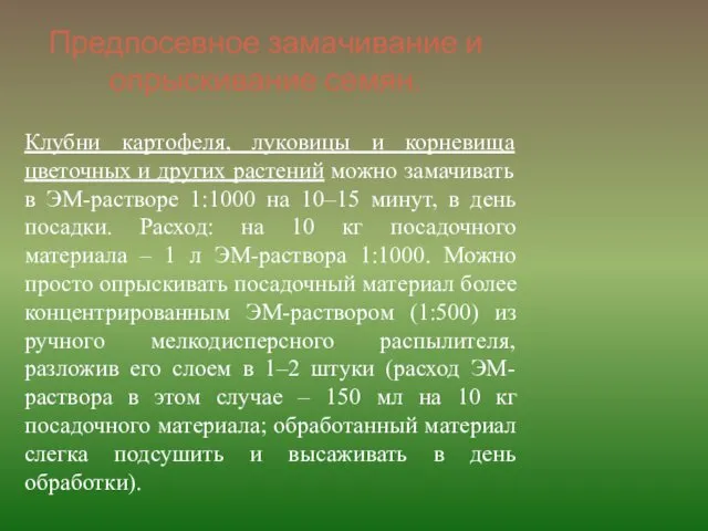 Предпосевное замачивание и опрыскивание семян. Клубни картофеля, луковицы и корневища цветочных