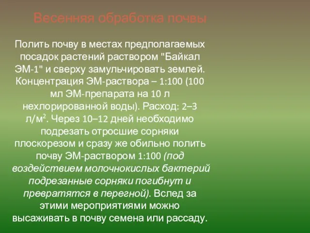 Весенняя обработка почвы Полить почву в местах предполагаемых посадок растений раствором