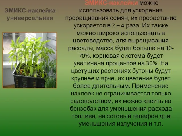 ЭМИКС-наклейки можно использовать для ускорения проращивания семян, их прорастание ускоряется в