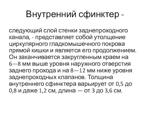 Внутренний сфинктер - следующий слой стенки заднепроходного канала, - представляет собой