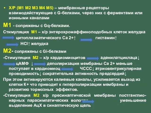 Х/Р (М1 М2 М3 М4 М5) – мембранные рецепторы взаимодействующие с