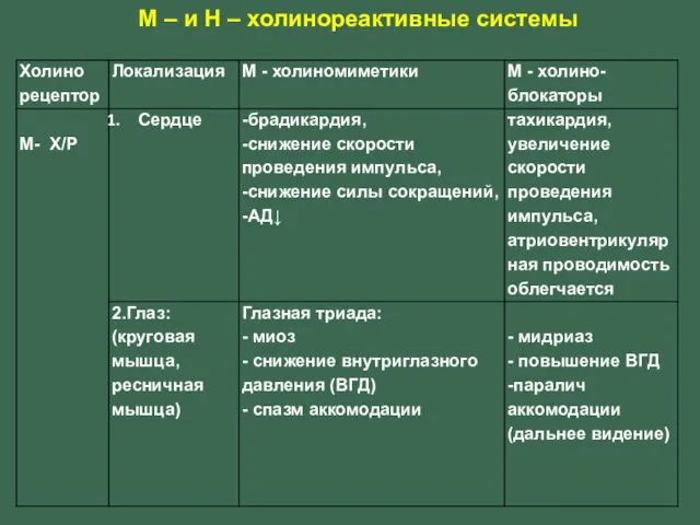 М – и Н – холинореактивные системы