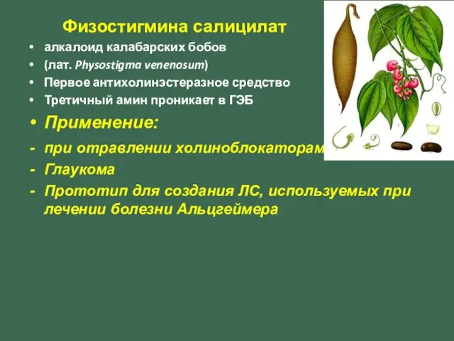 Физостигмина салицилат алкалоид калабарских бобов (лат. Physostigma venenosum) Первое антихолинэстеразное средство