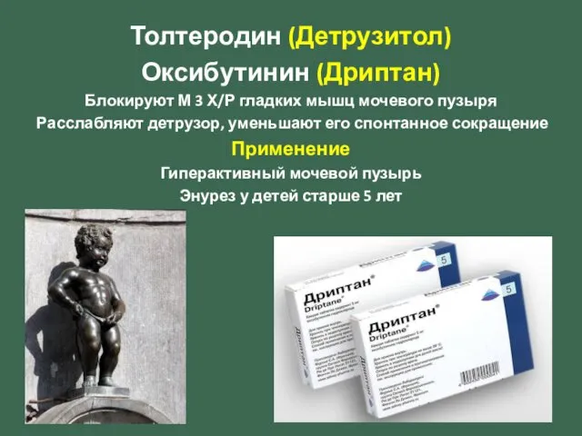 Толтеродин (Детрузитол) Оксибутинин (Дриптан) Блокируют М 3 Х/Р гладких мышц мочевого