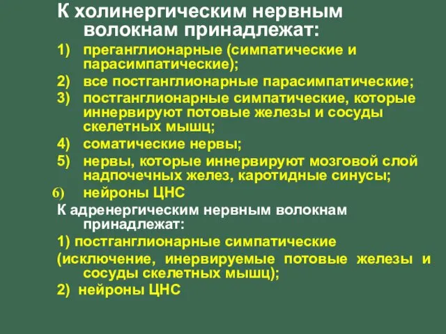 К холинергическим нервным волокнам принадлежат: 1) преганглионарные (симпатические и парасимпатические); 2)