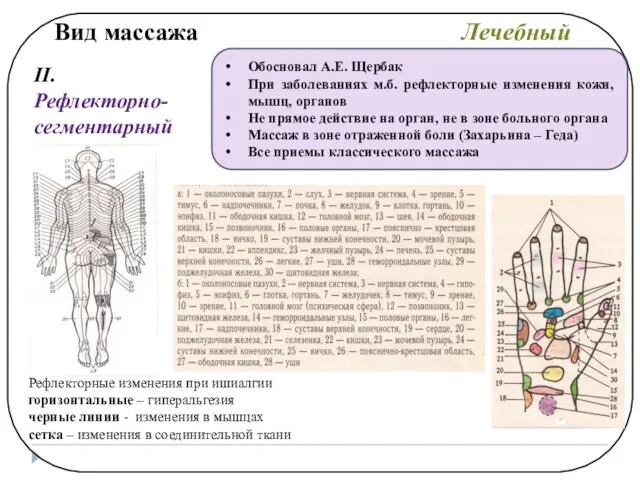 Вид массажа Лечебный II. Рефлекторно-сегментарный Обосновал А.Е. Щербак При заболеваниях м.б.