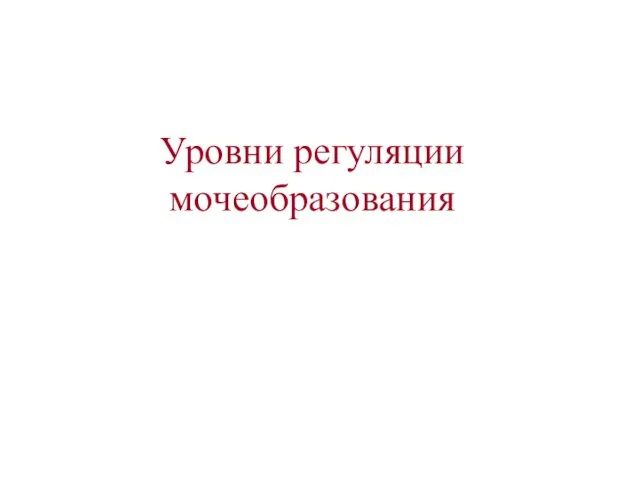 Уровни регуляции мочеобразования