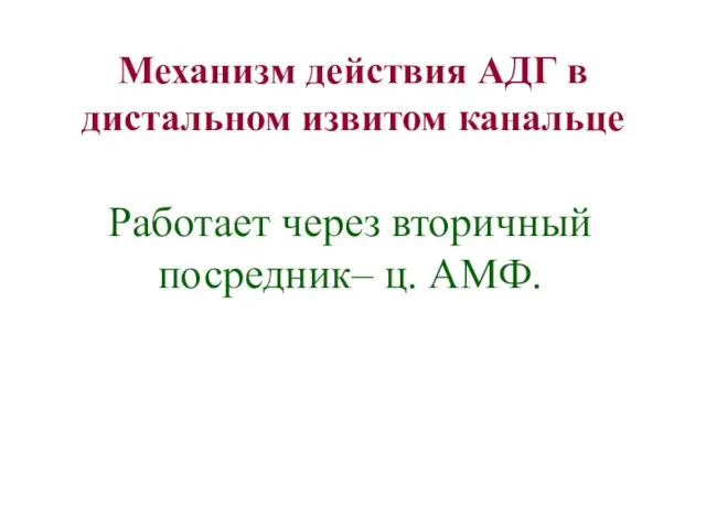 Работает через вторичный посредник– ц. АМФ. Механизм действия АДГ в дистальном извитом канальце