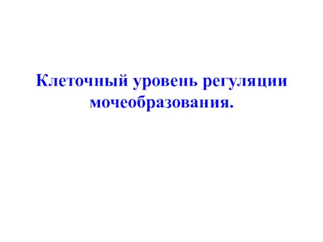 Клеточный уровень регуляции мочеобразования.