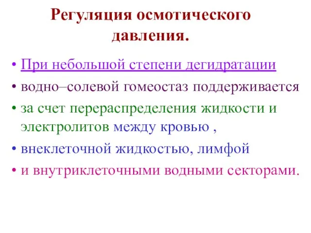 Регуляция осмотического давления. При небольшой степени дегидратации водно–солевой гомеостаз поддерживается за