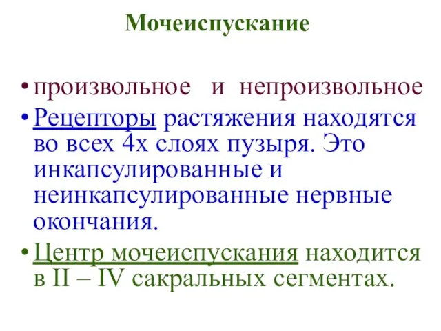 Мочеиспускание произвольное и непроизвольное Рецепторы растяжения находятся во всех 4х слоях