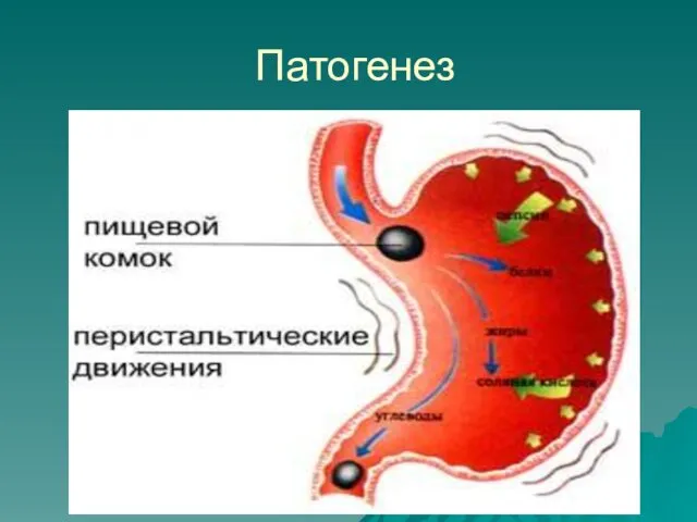 Патогенез