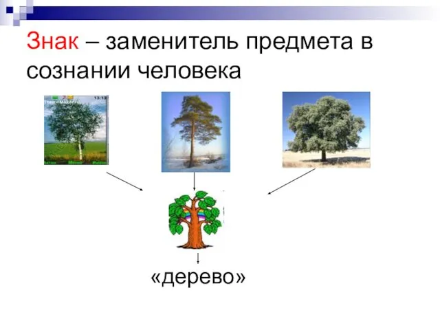 Знак – заменитель предмета в сознании человека «дерево»
