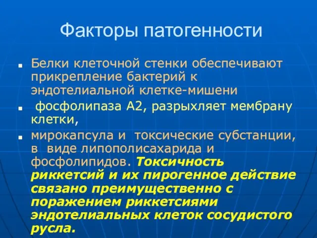 Факторы патогенности Белки клеточной стенки обеспечивают прикрепление бактерий к эндотелиальной клетке-мишени