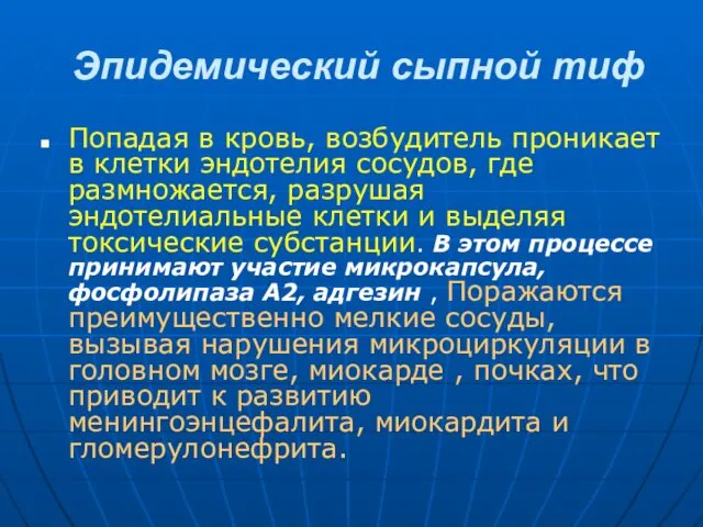 Эпидемический сыпной тиф Попадая в кровь, возбудитель проникает в клетки эндотелия