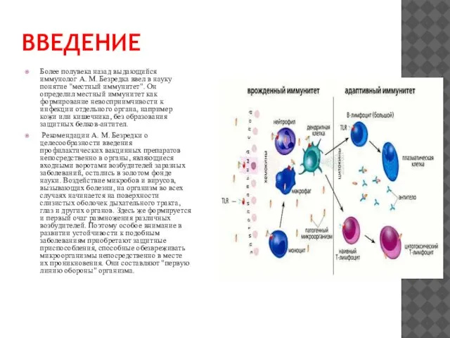 ВВЕДЕНИЕ Более полувека назад выдающийся иммунолог А. М. Безредка ввел в