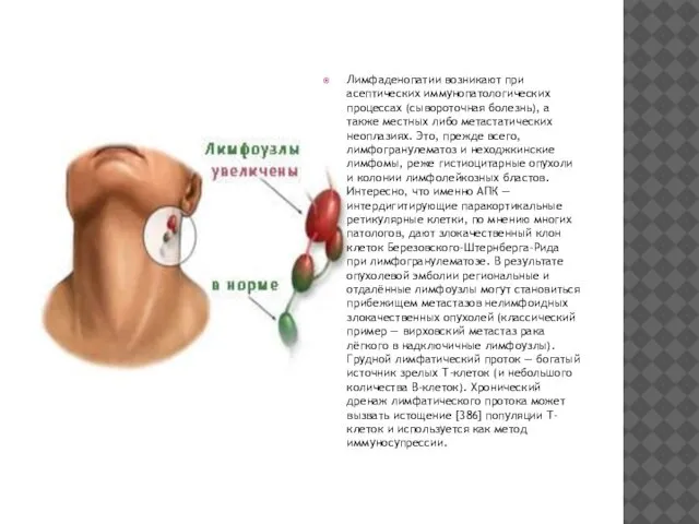 Лимфаденопатии возникают при асептических иммунопатологических процессах (сывороточная болезнь), а также местных