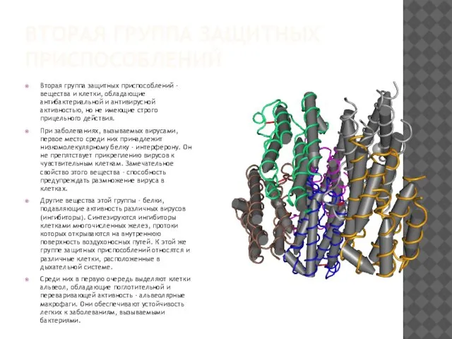ВТОРАЯ ГРУППА ЗАЩИТНЫХ ПРИСПОСОБЛЕНИЙ Вторая группа защитных приспособлений - вещества и