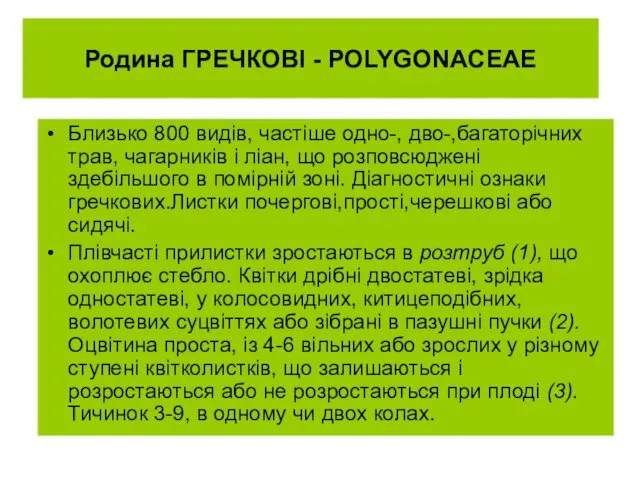 Родина ГРЕЧКОВІ - POLYGONACEAE Близько 800 видів, частіше одно-, дво-,багаторічних трав,