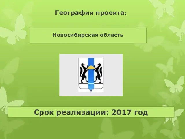 Срок реализации: 2017 год География проекта: Новосибирская область