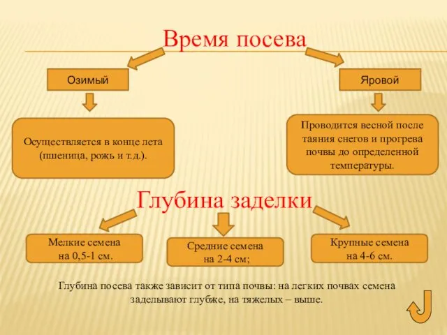 Время посева Озимый Яровой Осуществляется в конце лета (пшеница, рожь и