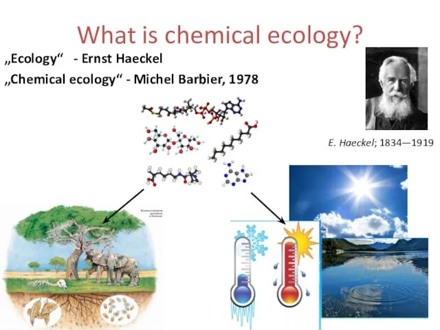What is chemical ecology? „Ecology“ - Ernst Haeckel „Chemical ecology“ -