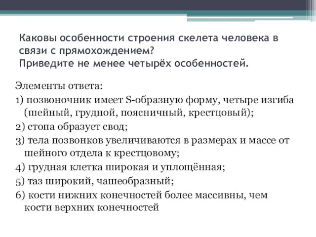 Каковы особенности строения скелета человека в связи с прямохождением? Приведите не