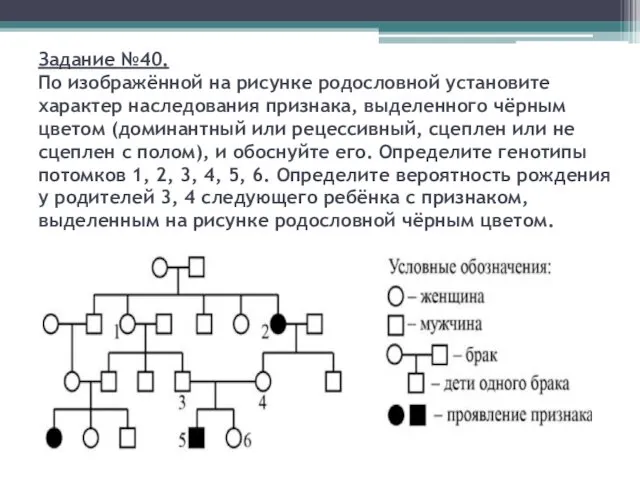 Задание №40. По изображённой на рисунке родословной установите характер наследования признака,