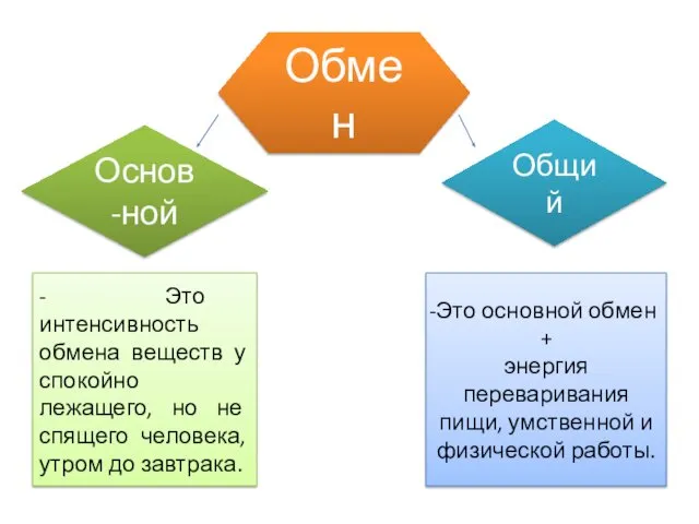 Обмен Основ-ной Общий - Это интенсивность обмена веществ у спокойно лежащего,