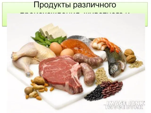 Продукты различного происхождения: животного и растительного