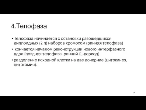 4.Телофаза Телофаза начинается с остановки разошедшихся диплоидных (2 п) наборов хромосом