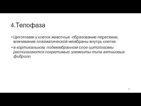 4.Телофаза Цитотомия у клеток животных -образование перетяжки, впячивание плазматической мембраны внутрь