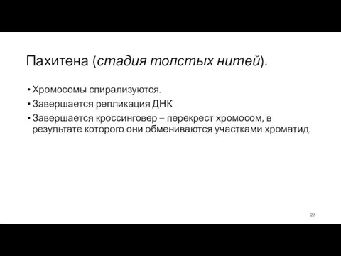 Пахитена (стадия толстых нитей). Хромосомы спирализуются. Завершается репликация ДНК Завершается кроссинговер