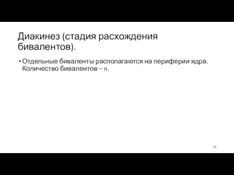 Диакинез (стадия расхождения бивалентов). Отдельные биваленты располагаются на периферии ядра. Количество бивалентов – n.