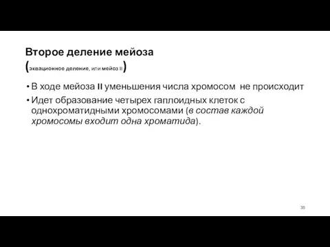 Второе деление мейоза (эквационное деление, или мейоз II) В ходе мейоза