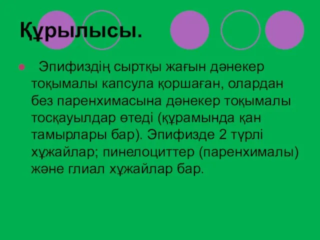 Құрылысы. Эпифиздің сыртқы жағын дәнекер тоқымалы капсула қоршаған, олардан без паренхимасына