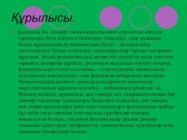 Құрылысы. Қалқанды без дәнекер тоқыма кансуласымен қоршалған, капсула тармақтары безді көптеген