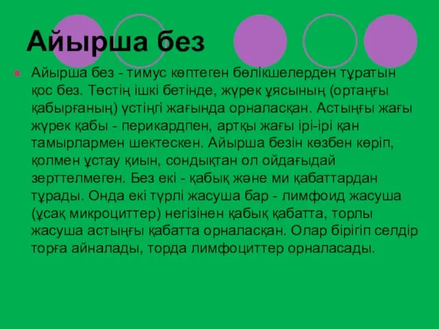 Айырша без Айырша без - тимус көптеген бөлікшелерден тұратын қос без.