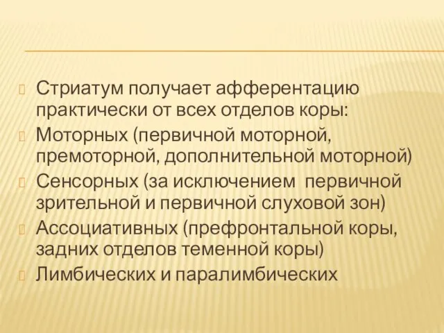 Стриатум получает афферентацию практически от всех отделов коры: Моторных (первичной моторной,