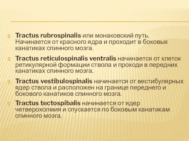 Tractus rubrospinalis или монаковский путь. Начинается от красного ядра и проходит