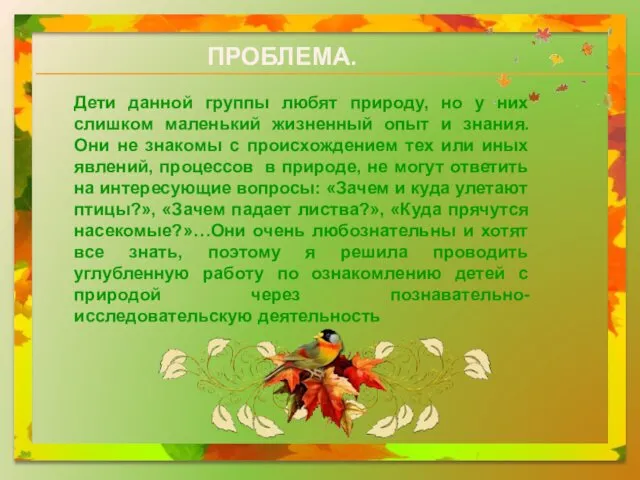 ПРОБЛЕМА. Дети данной группы любят природу, но у них слишком маленький