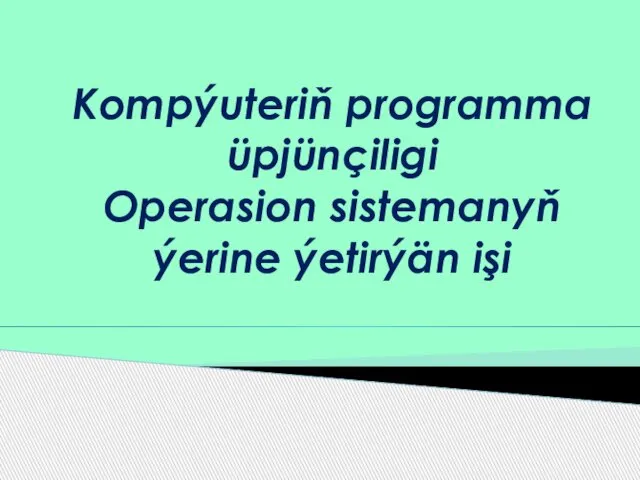 Kompýuteriň programma üpjünçiligi Operasion sistemanyň ýerine ýetirýän işi