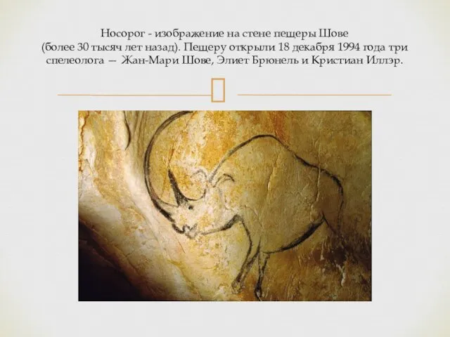 Носорог - изображение на стене пещеры Шове (более 30 тысяч лет