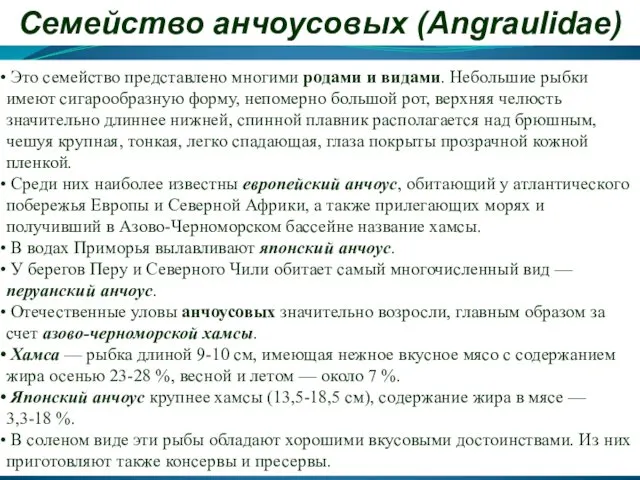 Семейство анчоусовых (Angraulidae) Это семейство представлено многими родами и видами. Небольшие