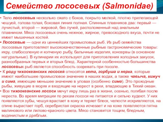 Семейство лососевых (Salmonidae) Тело лососевых несколько сжато с боков, покрыто мелкой,