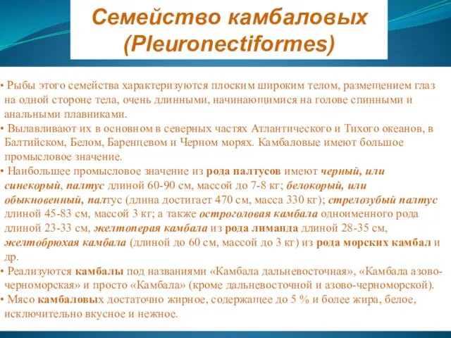 Семейство камбаловых (Pleuronectiformes) Рыбы этого семейства характеризуются плоским широким телом, размещением