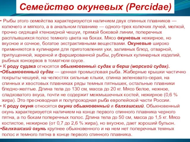 Семейство окуневых (Percidae) Рыбы этого семейства характеризуются наличием двух спинных плавников