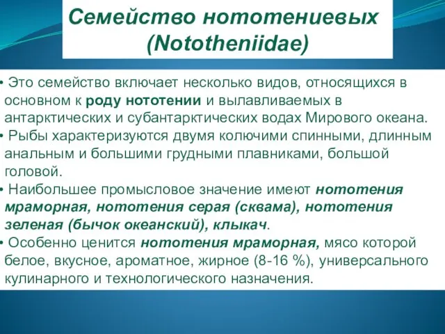 Семейство нототениевых (Nototheniidae) Это семейство включает несколько видов, относящихся в основном